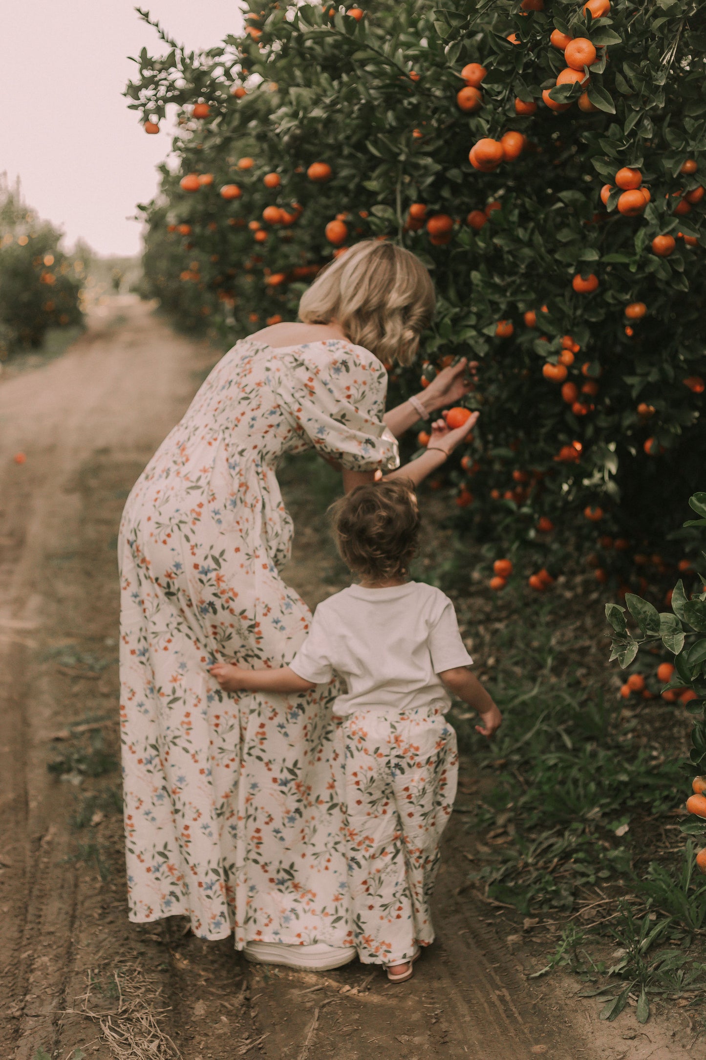 The Cottage Maxi Dress - Poplin