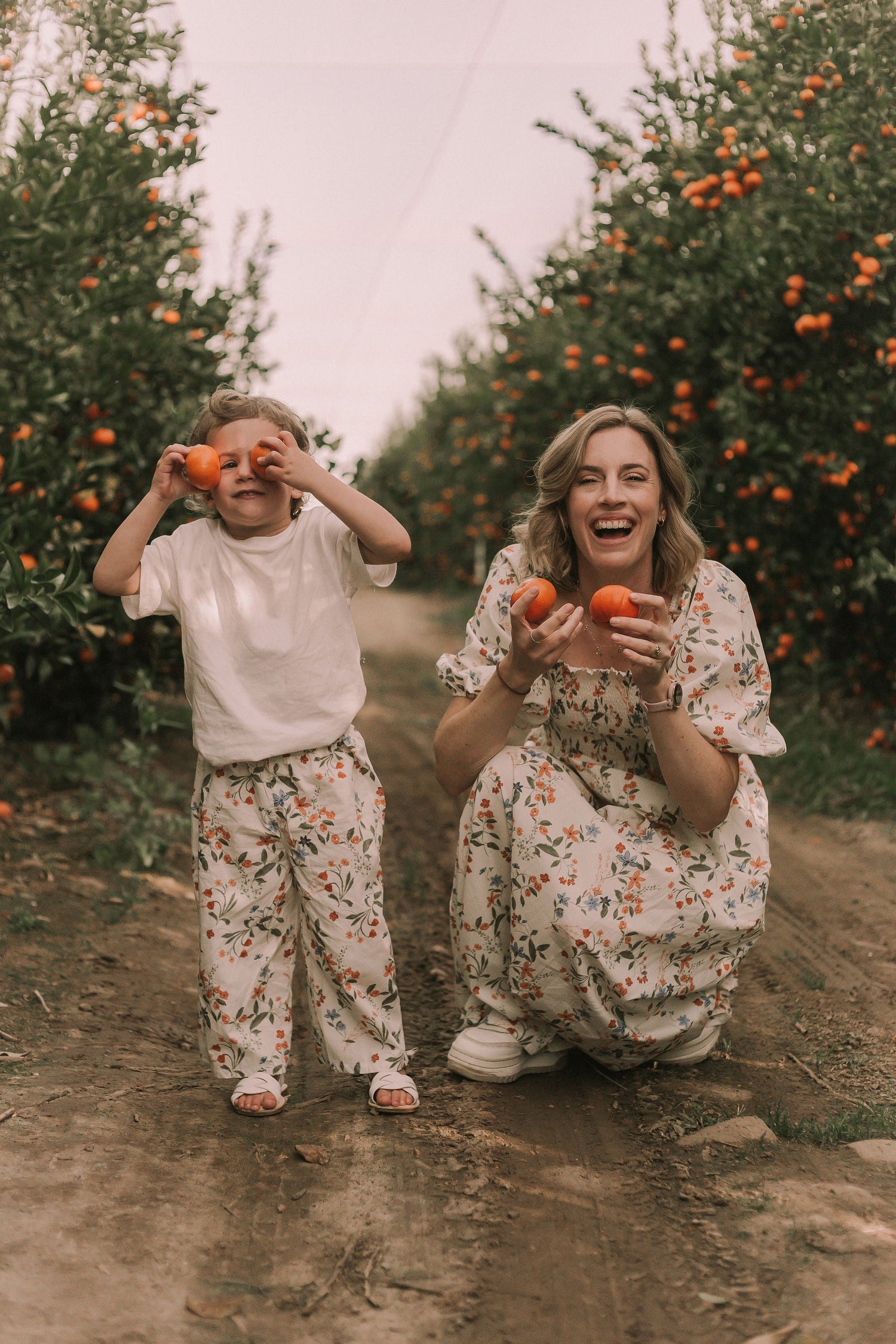 Poplin - New Spring Collection